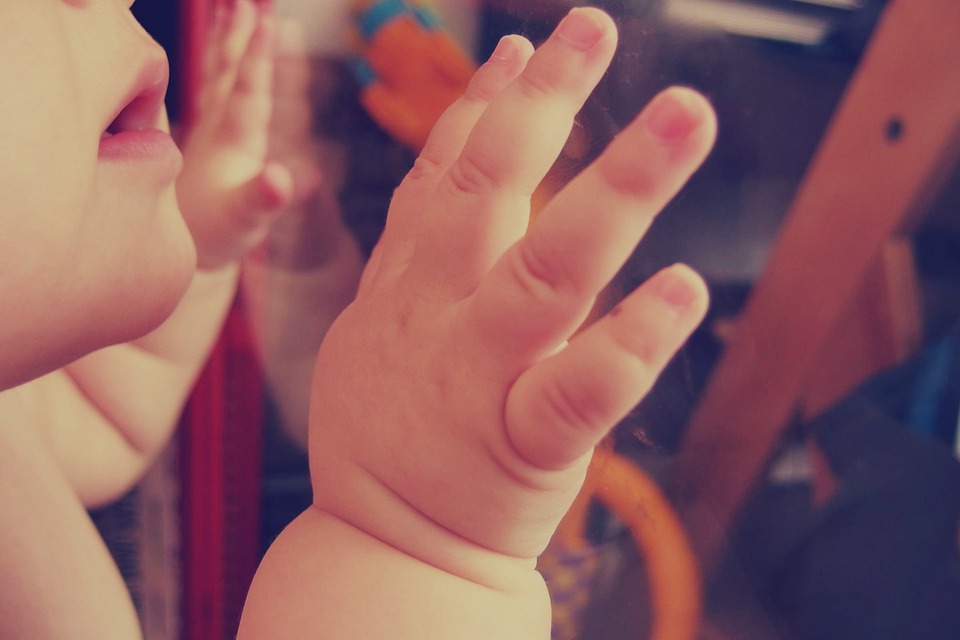 el-primer-año-de-tu-bebe