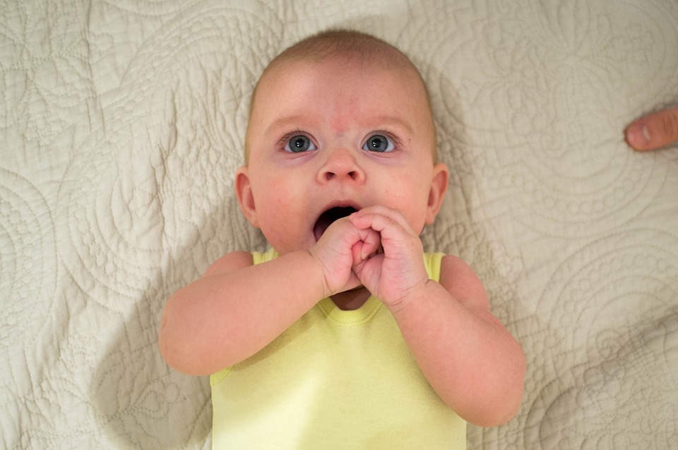 el-primer-año-de-vida-de-tu-bebe